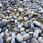 Erofili\'S House
