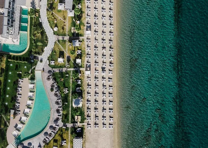 Blue Carpet Luxury Suites