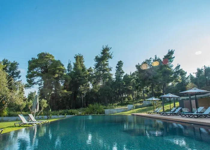 Sani More & Sani Woods (Adults Only)