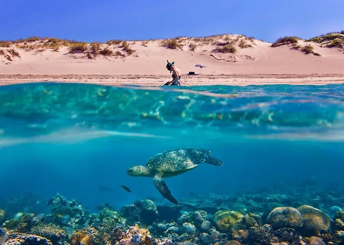 Tortuga Dafni Bay Villas Diver\'S Paradise By \