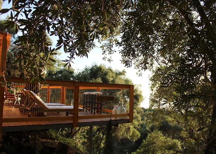 Nature Habitat