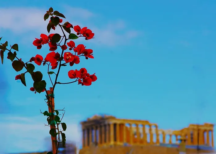 Absolute Athens Acropolis View