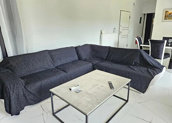 Grey Luxury House