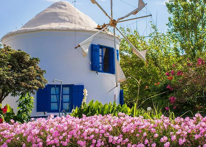 Anemomilos Studios