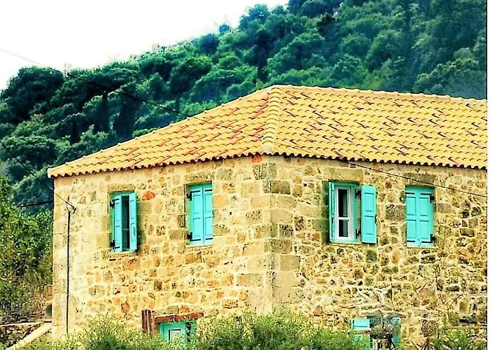 The House. Light & Stone.