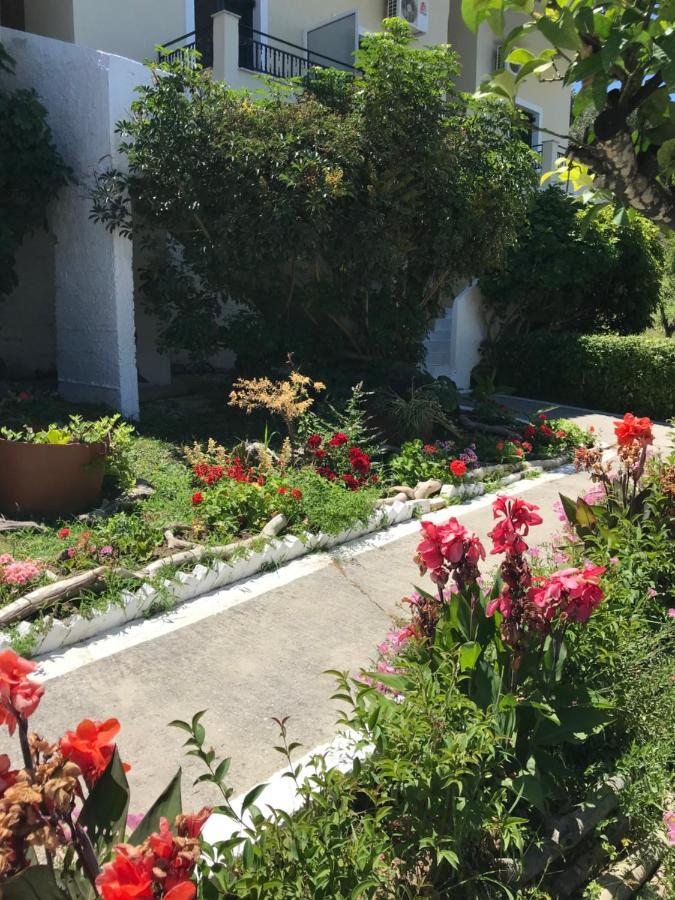 Guest house Akrogiali