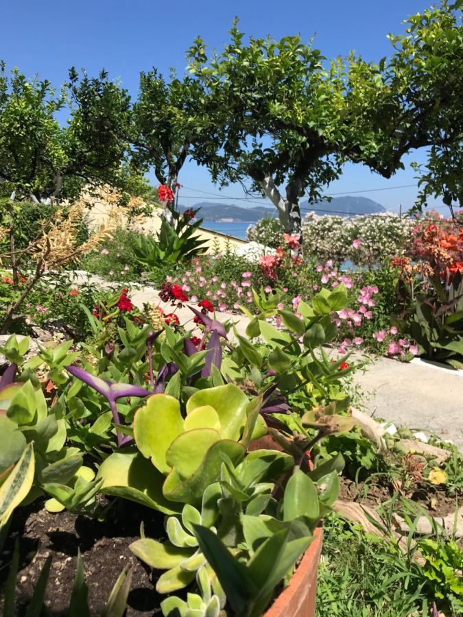 Akrogiali Guest house *