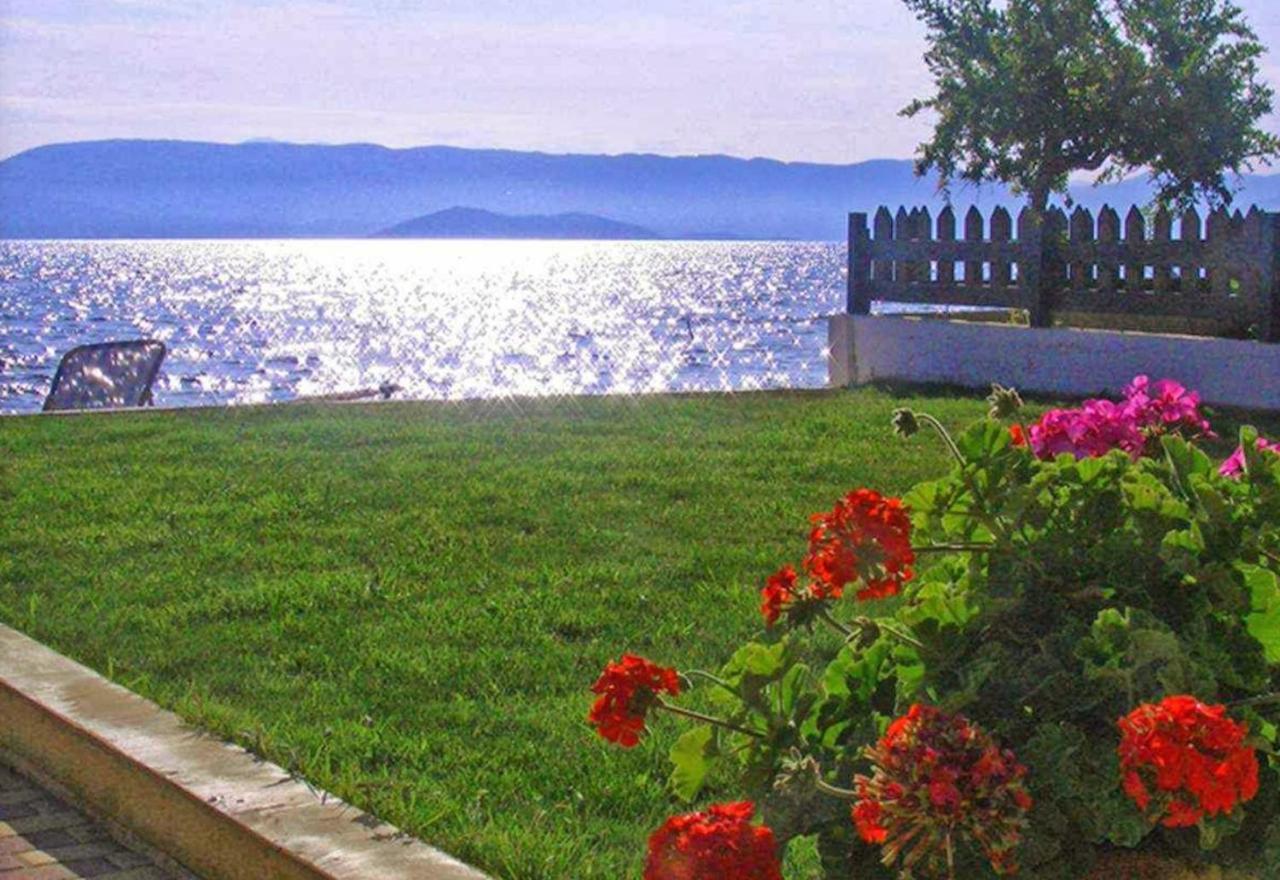 Finata (adults Only) 2* Kavos