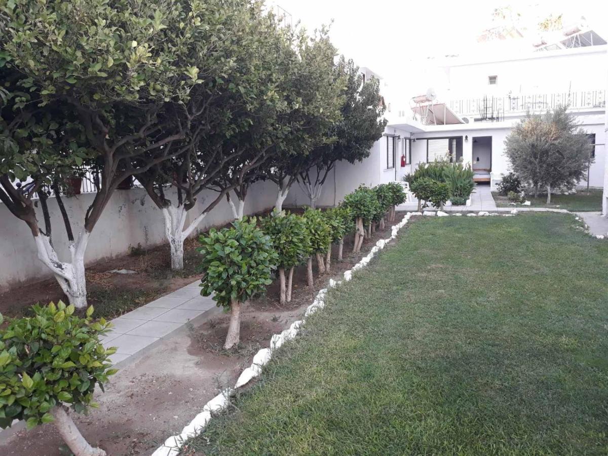 Andavis (adults Only) Hotel Kardamena (Kos)