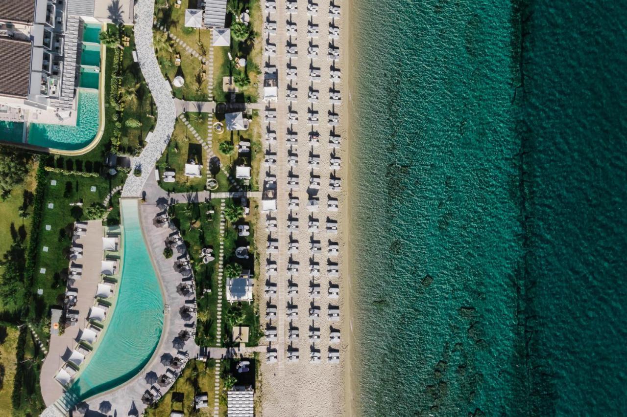 Blue Carpet Luxury Aparthotel