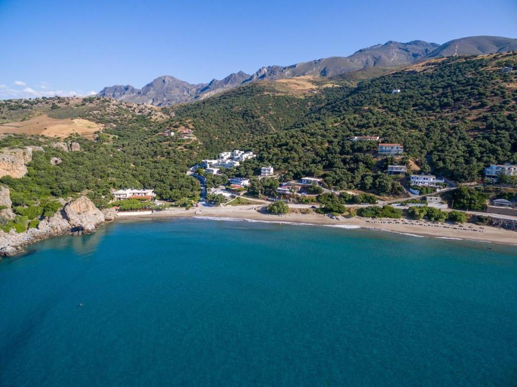Golden Sun Apartment Rodakino