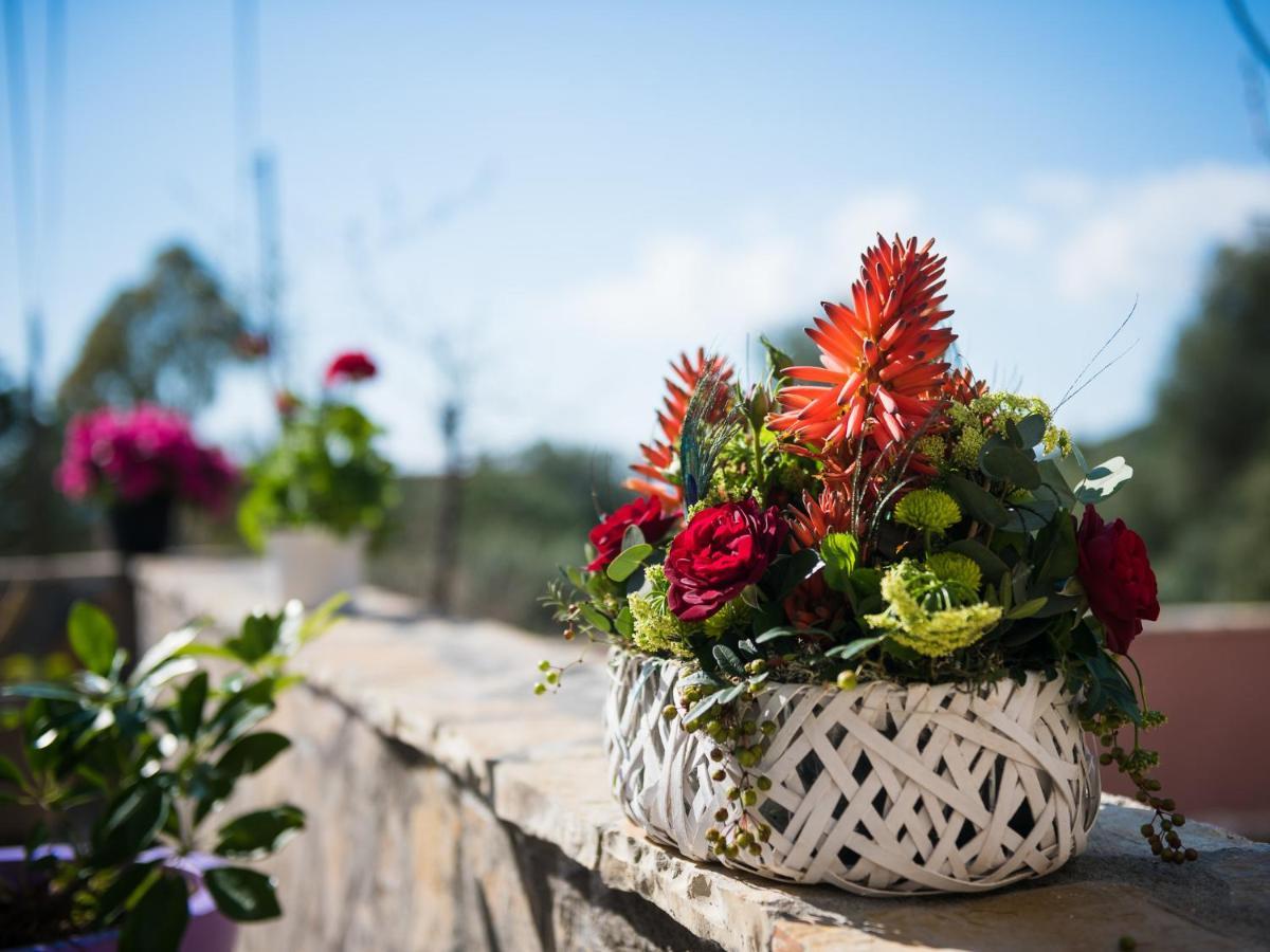 Holiday home Sofias Argostoli
