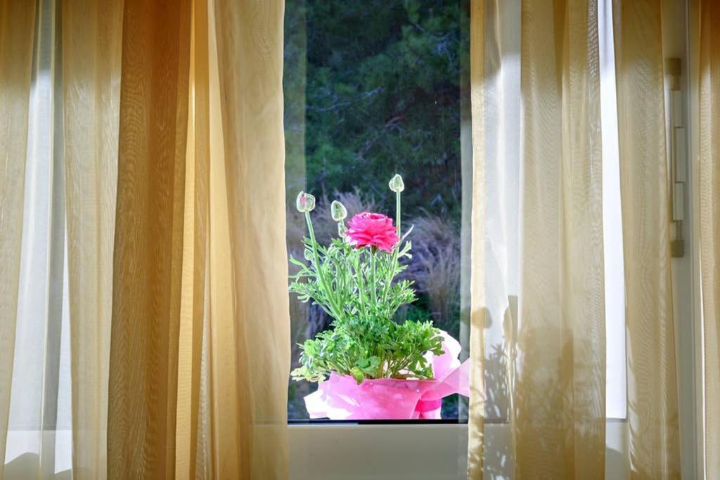 Apartment Malena Nature And Sea View *