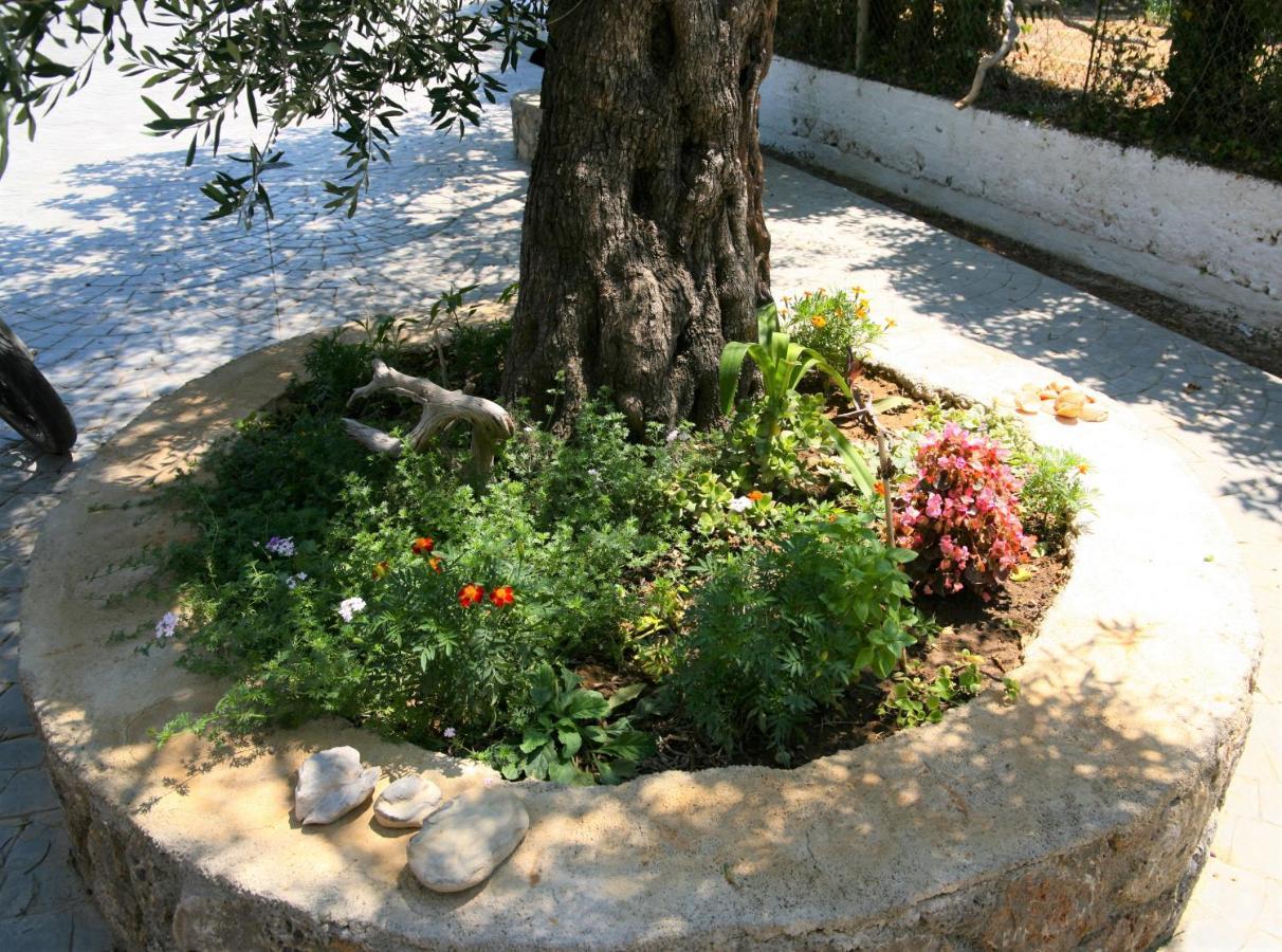 Terpsichore Boutique Appartments Dassia (Corfu)