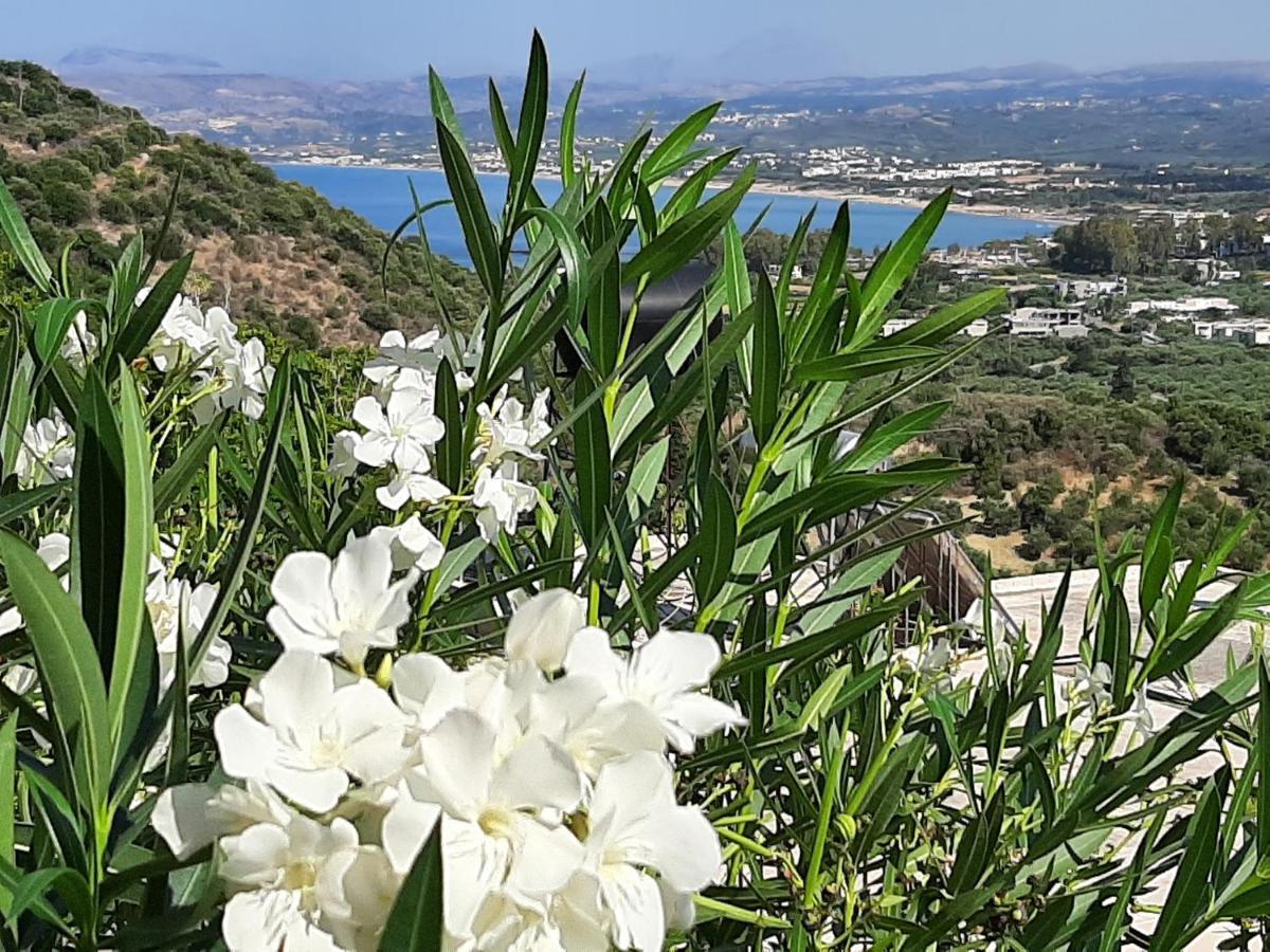 Villa Aloe Chania Crete Georgioupoli