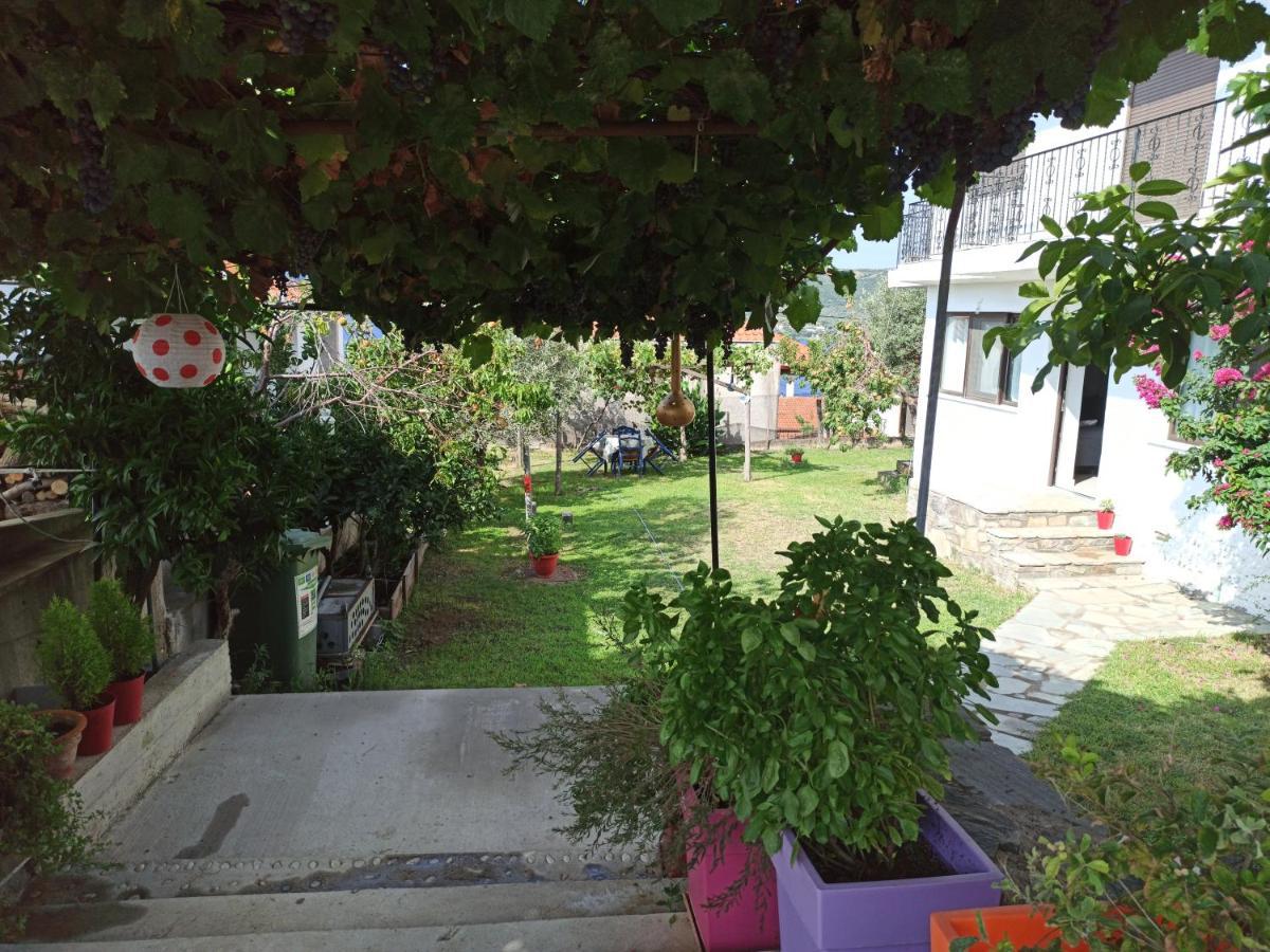 Dora's House Comfortable With A Yard And View Holiday home