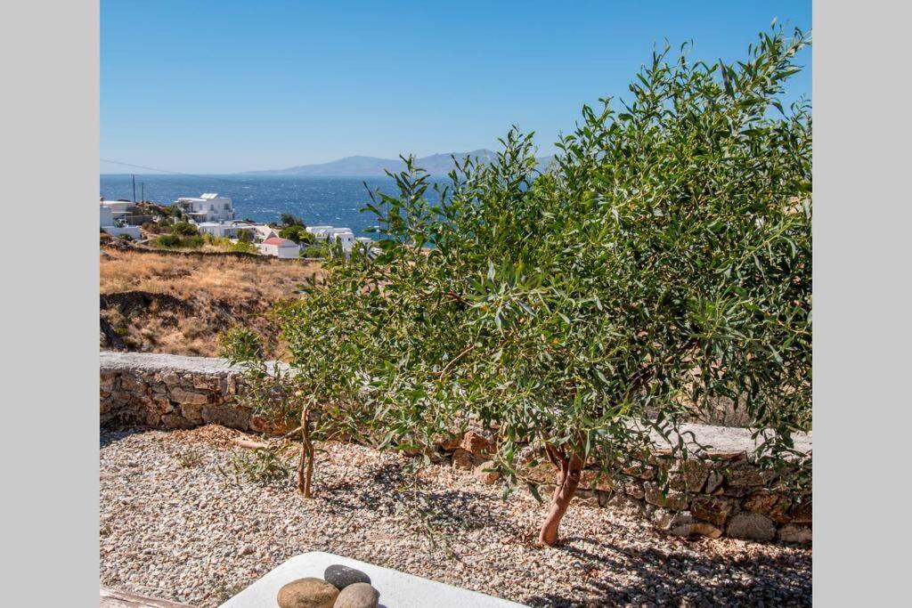 Apartment Lilly's Seaview Mykonos Town