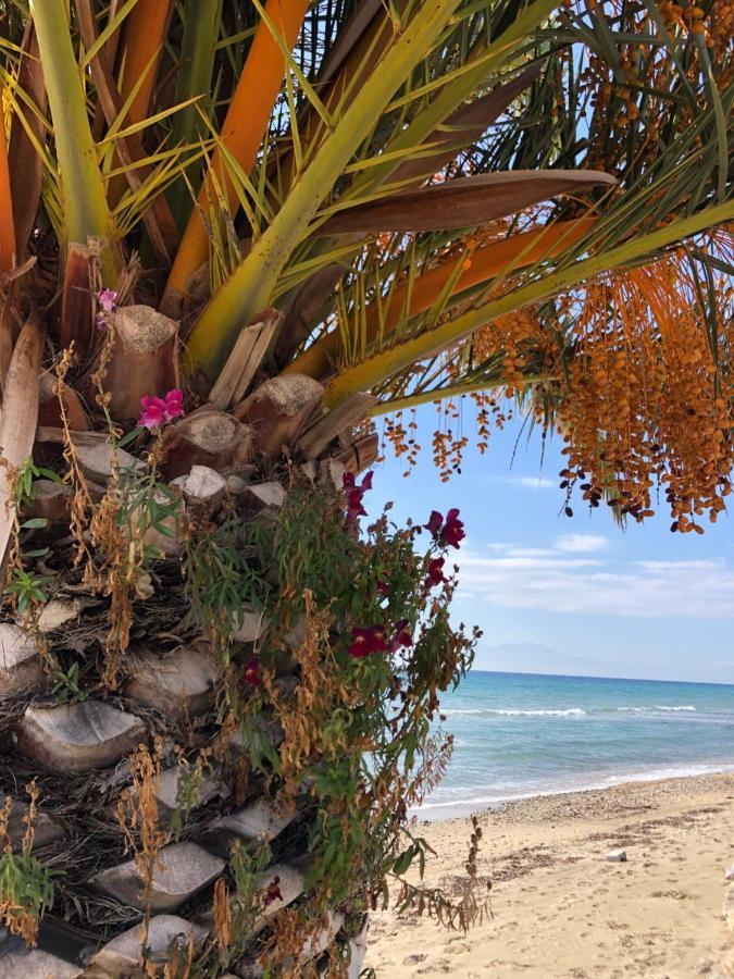 Halkidiki 2 Nea Kalikratia Vergia