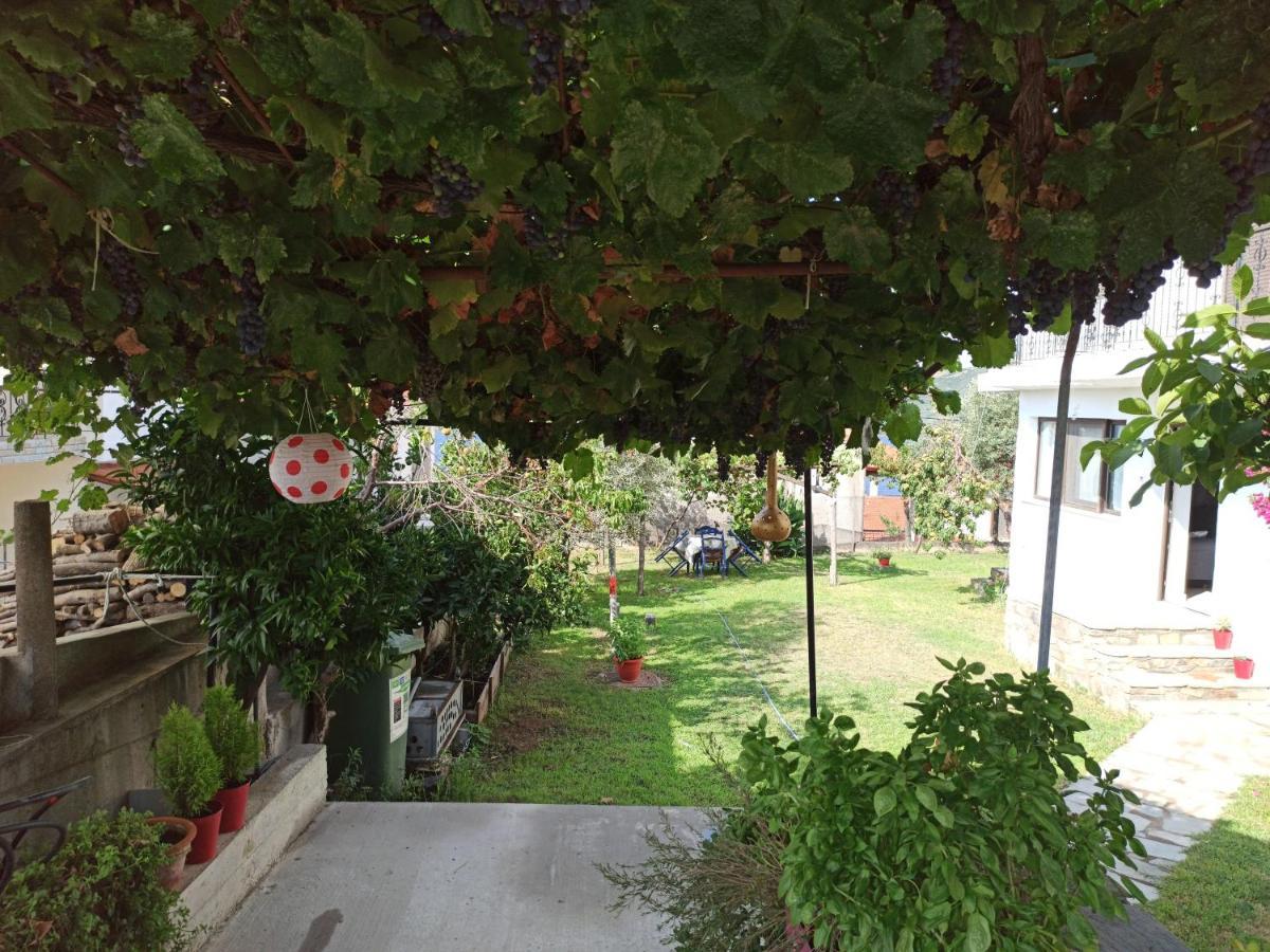 Holiday home Dora's House Comfortable With A Yard And View