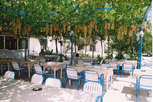 Garden Hotel Pastida