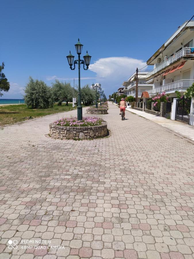 Hause Zorbas Paralia Dionysiou