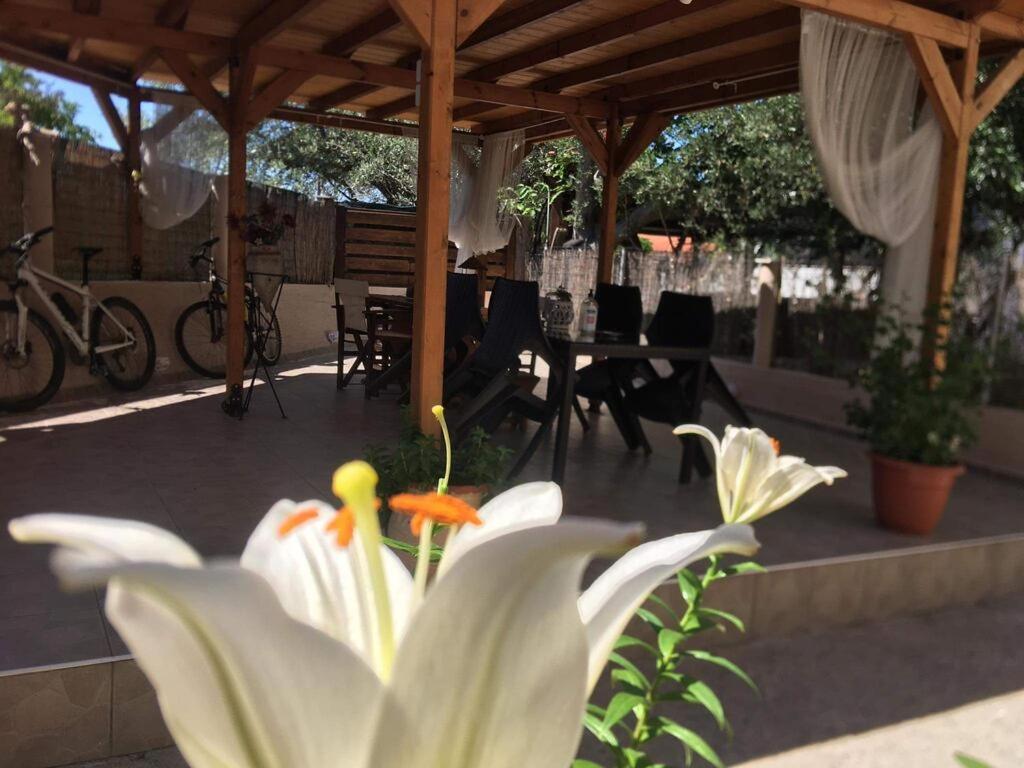 Koala Apartments- Irida, Elea *