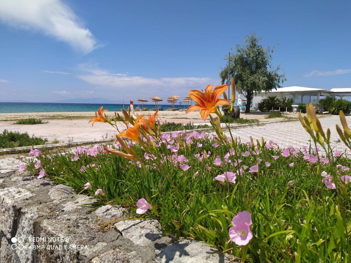 Aparthotel Hause Zorbas *