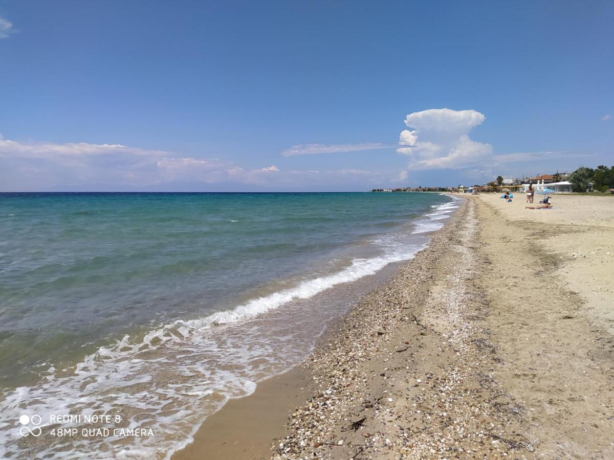 Hause Zorbas * Paralia Dionysiou