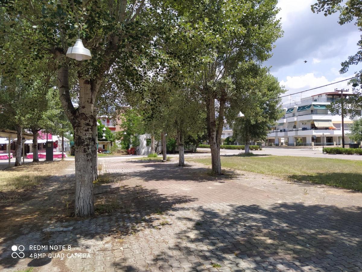 Hause Zorbas Paralia Dionysiou