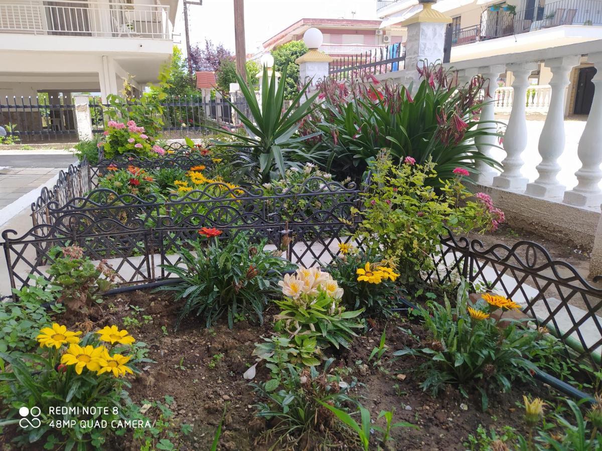 Hause Zorbas Aparthotel *