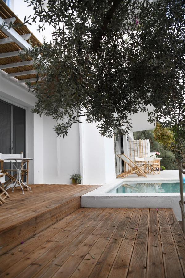 The Hidden Gem Aparthotel Vasilias (Skiathos)