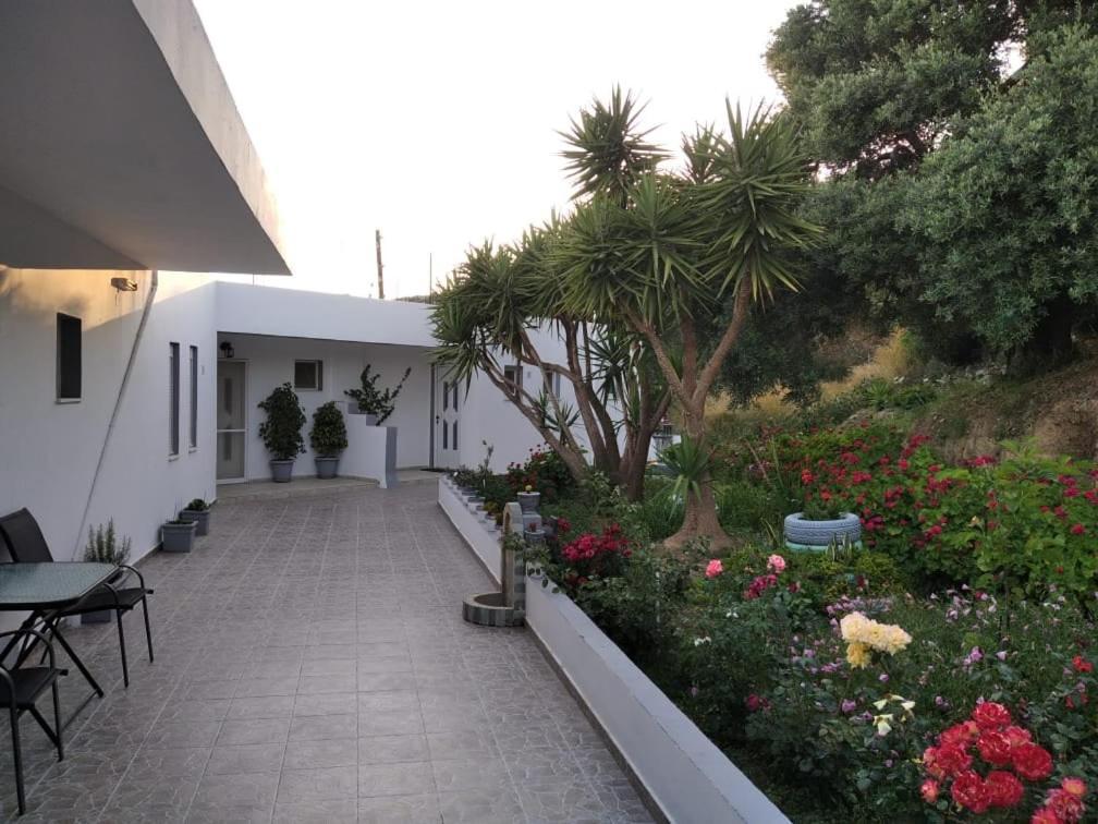Apartment Golden Sun