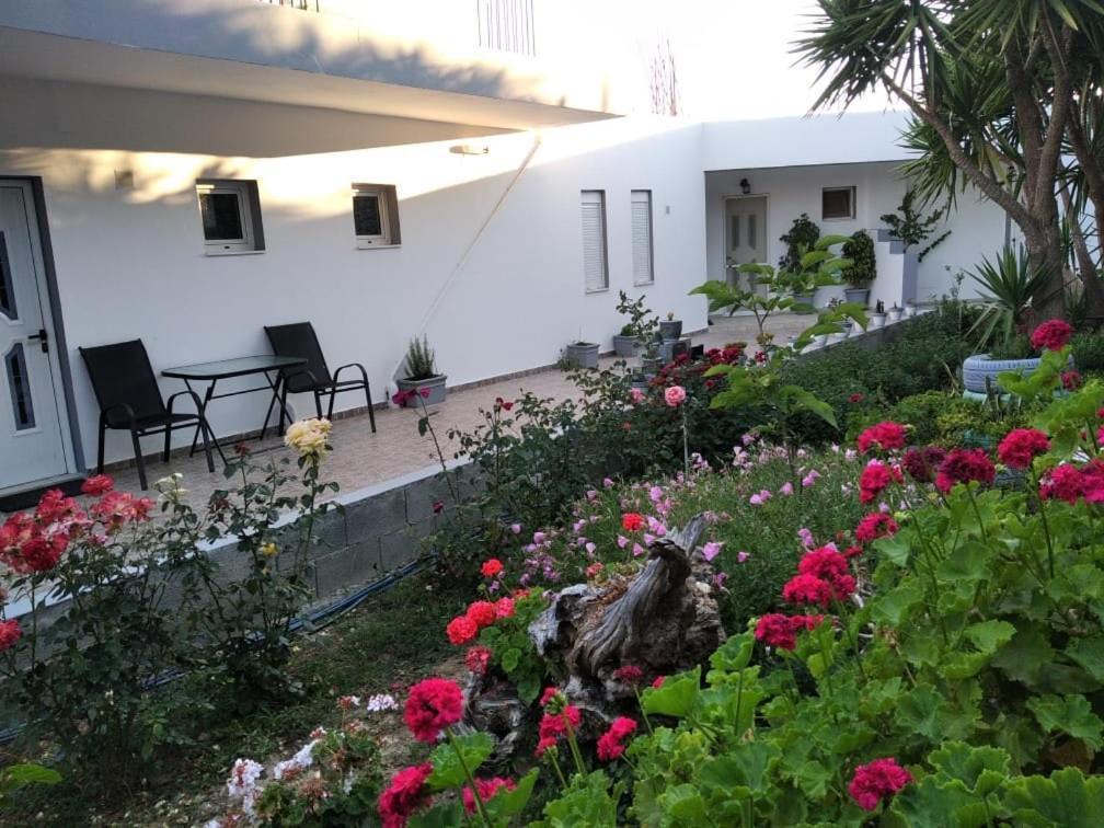 Apartment Golden Sun Rodakino