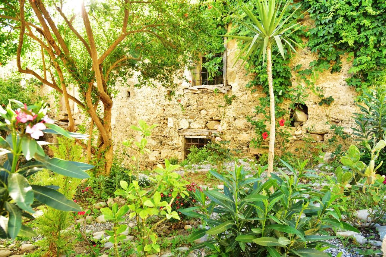 Irene Guest house *