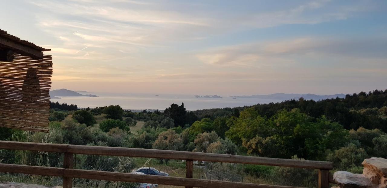 Chaihoutes Stone House Into Olive Farm In Zia Agios Dimitrios (Kos)