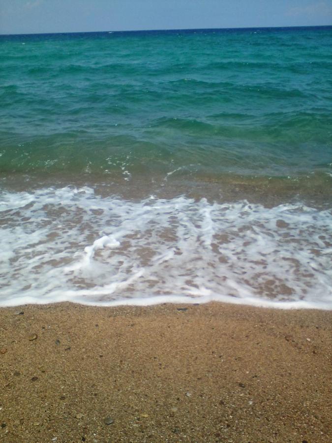 Nautilos