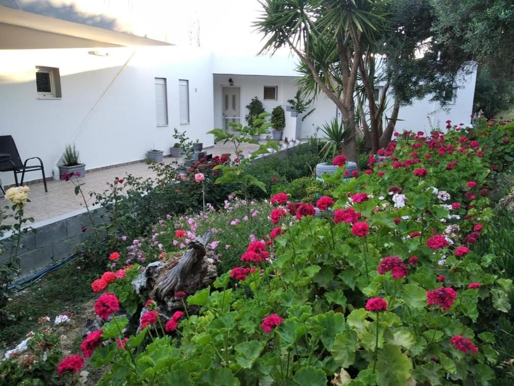 Apartment Golden Sun Rodakino