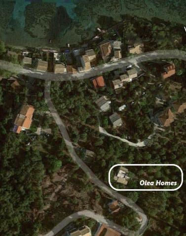 Olea Agia Pelagia Chlomou