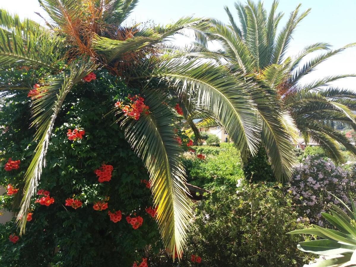 Alexandra Spingou Dassia (Corfu)