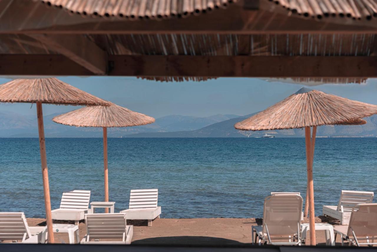 Olive Grove Beachfront & Seaview (adults Only) Aparthotel Kavos