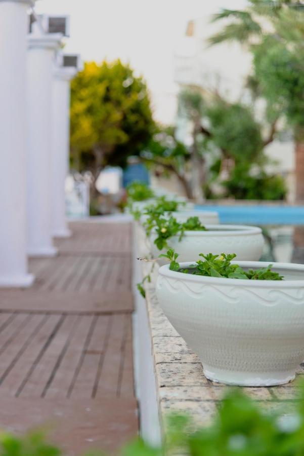 Olive Grove Beachfront & Seaview (adults Only) 3* Kavos