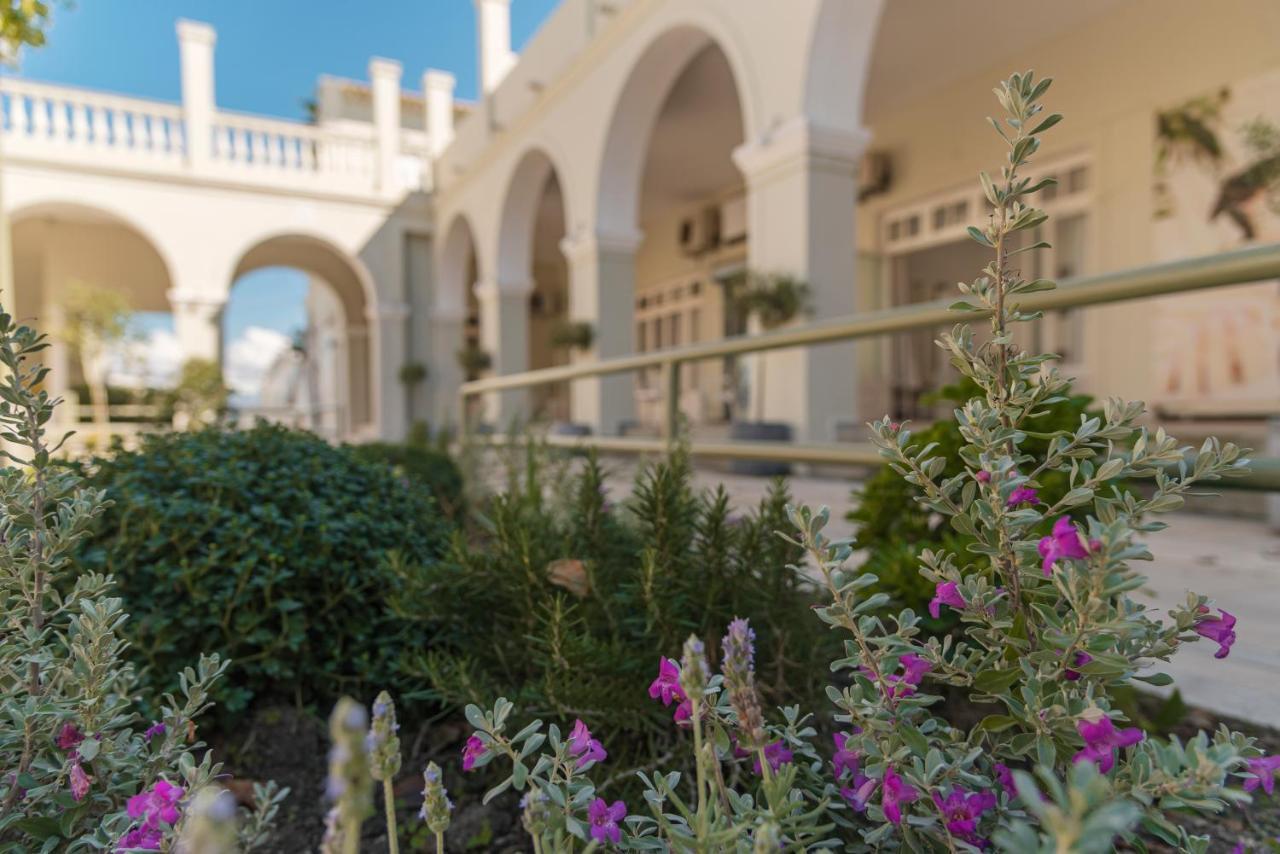 Olive Grove Beachfront & Seaview (adults Only) 3*