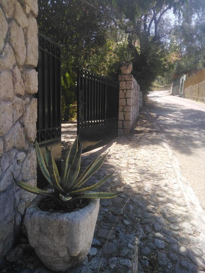Olea Villa *