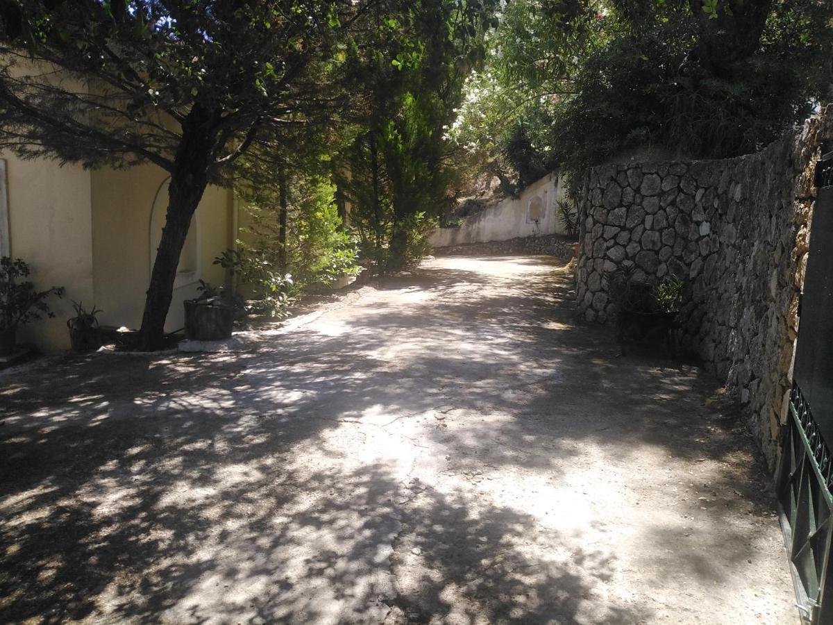 Olea Villa