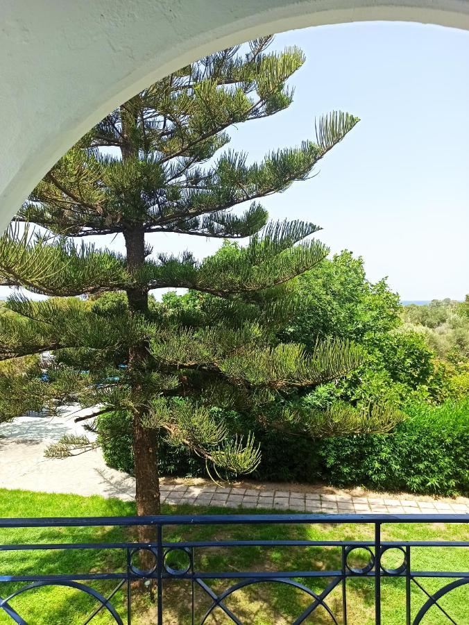 Summer Dream 3* Theologos (Rhodes)