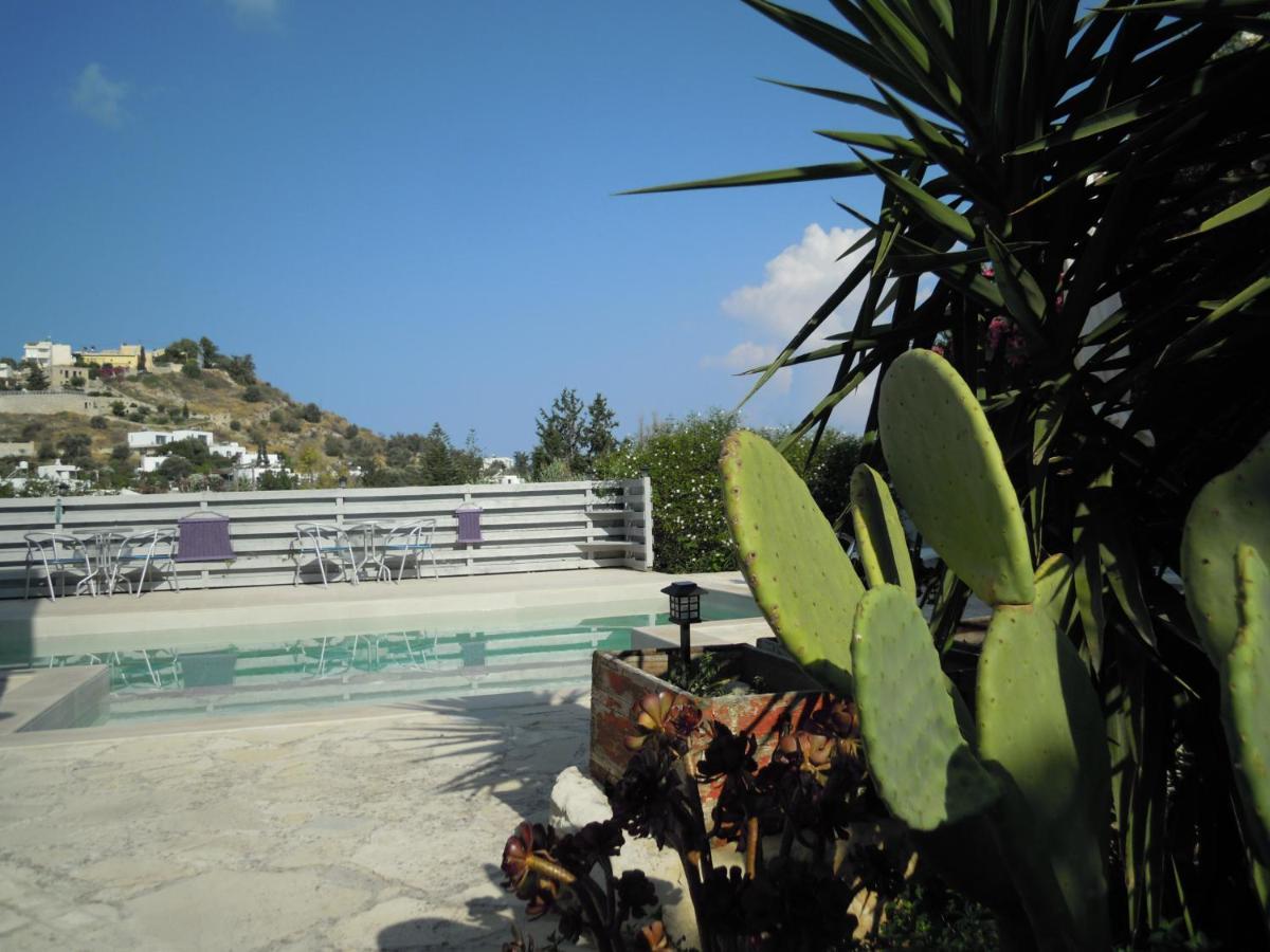 Petaloudes 2 Apartment