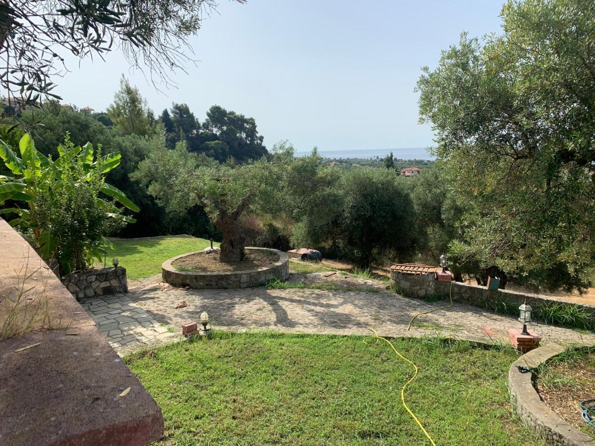 Villa Olive Stone Nea Skioni