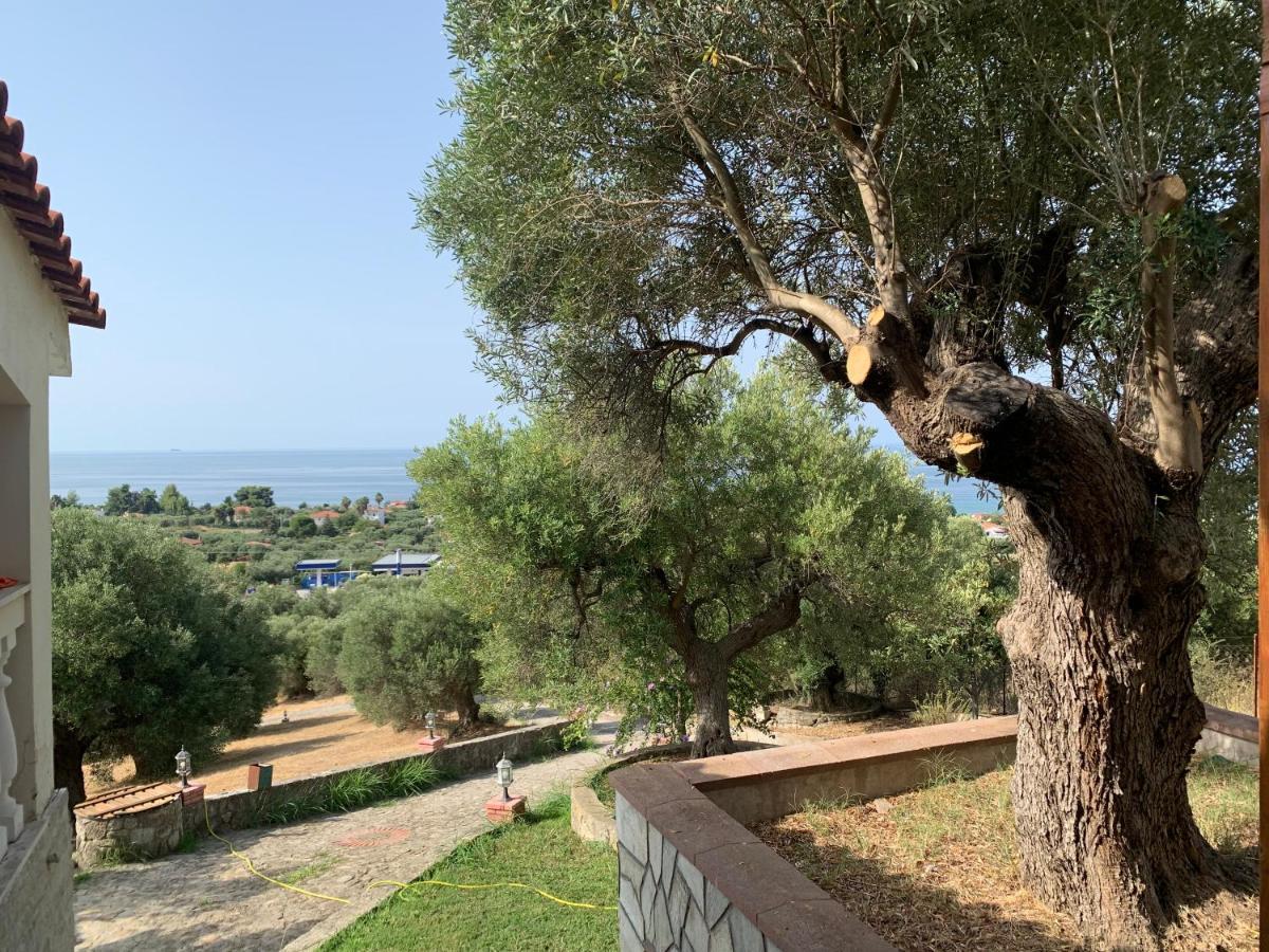 Villa Olive Stone