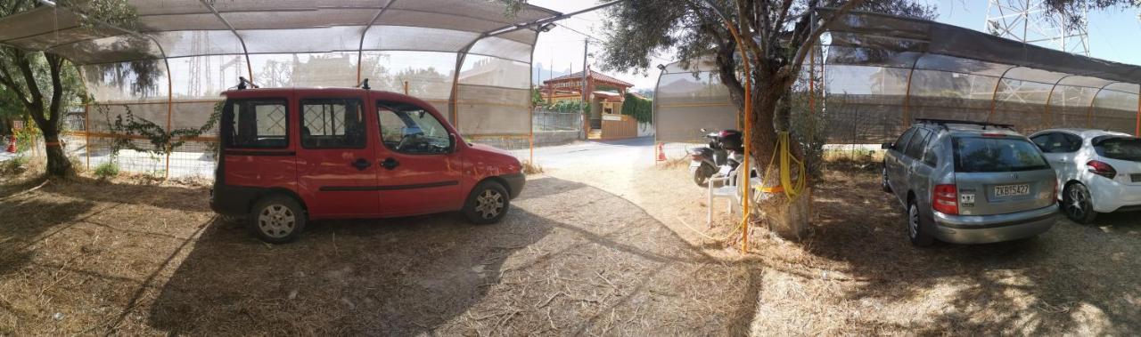 Apartment Evli *