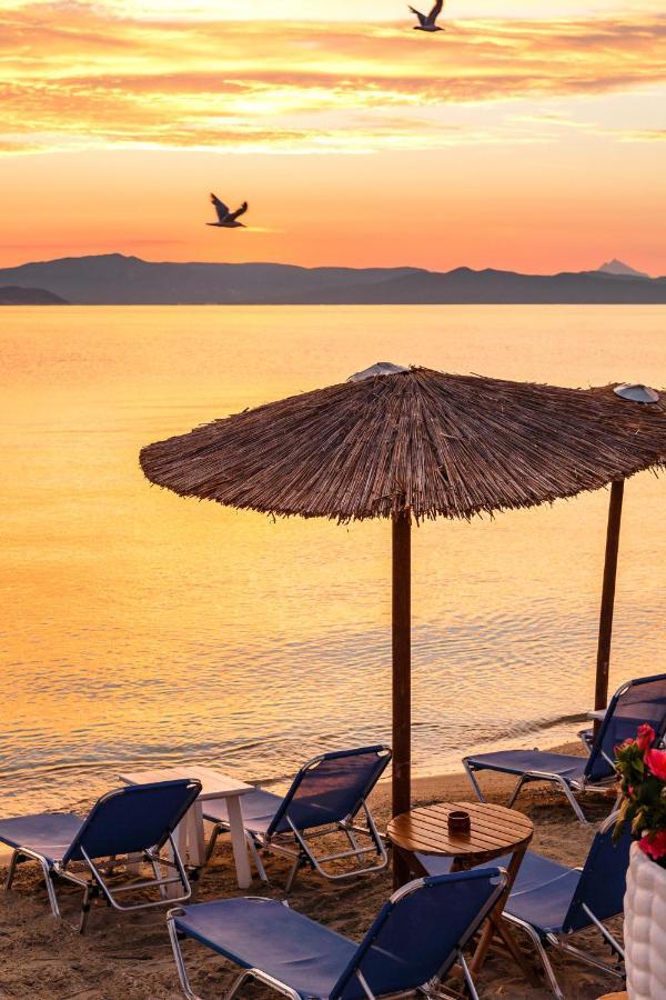 Marabou Hotel